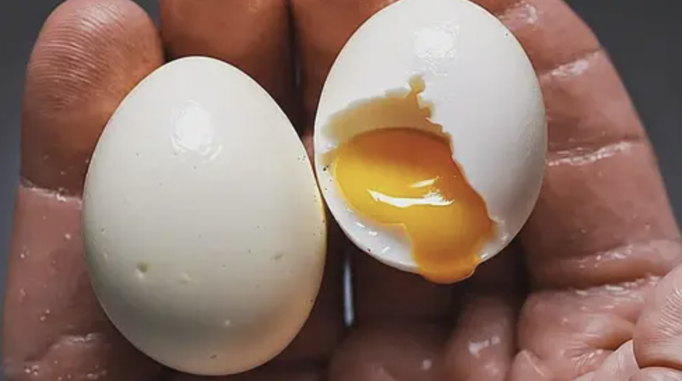 Proteína de Clara de Ovo